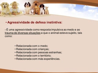 • Agressividade de defesa instintiva:

- É uma agressividade como resposta impulsiva ao medo e ao
trauma de diversas situações a que o animal esteve sujeito, tais
como:


        • Relacionada com o medo;
        • Relacionada com crianças;
        • Relacionada com pessoas estranhas;
        • Relacionada com o território;
        • Relacionada com más experiências.
 