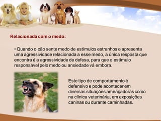 Relacionada com o medo:

 • Quando o cão sente medo de estímulos estranhos e apresenta
 uma agressividade relacionada a esse medo, a única resposta que
 encontra é a agressividade de defesa, para que o estímulo
 responsável pelo medo ou ansiedade vá embora.


                          Este tipo de comportamento é
                          defensivo e pode acontecer em
                          diversas situações ameaçadoras como
                          na clínica veterinária, em exposições
                          caninas ou durante caminhadas.
 
