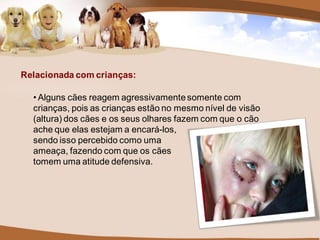Relacionada com crianças:

  • Alguns cães reagem agressivamente somente com
  crianças, pois as crianças estão no mesmo nível de visão
  (altura) dos cães e os seus olhares fazem com que o cão
  ache que elas estejam a encará-los,
  sendo isso percebido como uma
  ameaça, fazendo com que os cães
  tomem uma atitude defensiva.
 