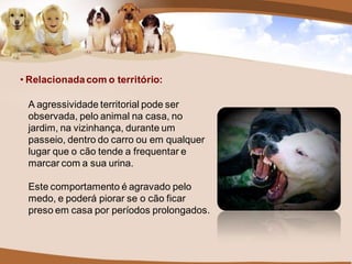 • Relacionada com o território:

 A agressividade territorial pode ser
 observada, pelo animal na casa, no
 jardim, na vizinhança, durante um
 passeio, dentro do carro ou em qualquer
 lugar que o cão tende a frequentar e
 marcar com a sua urina.

 Este comportamento é agravado pelo
 medo, e poderá piorar se o cão ficar
 preso em casa por períodos prolongados.
 