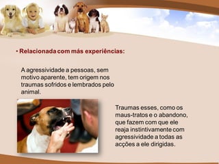 • Relacionada com más experiências:


 A agressividade a pessoas, sem
 motivo aparente, tem origem nos
 traumas sofridos e lembrados pelo
 animal.

                                     Traumas esses, como os
                                     maus-tratos e o abandono,
                                     que fazem com que ele
                                     reaja instintivamente com
                                     agressividade a todas as
                                     acções a ele dirigidas.
 