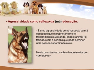 • Agressividade como reflexo da (má) educação:

                   - É uma agressividade como resposta da má
                   educação que o proprietário lhe foi
                   transmitindo e sujeitando, onde o animal foi
                   treinado com a certeza que pode dominar
                   uma pessoa subordinada a ele.


                   Neste caso temos os cães denominados por
                   «perigosos».
 