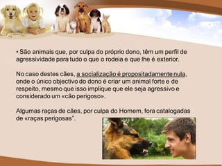 • São animais que, por culpa do próprio dono, têm um perfil de
agressividade para tudo o que o rodeia e que lhe é exterior.

No caso destes cães, a socialização é propositadamente nula,
onde o único objectivo do dono é criar um animal forte e de
respeito, mesmo que isso implique que ele seja agressivo e
considerado um «cão perigoso».

Algumas raças de cães, por culpa do Homem, fora catalogadas
de «raças perigosas”.
 