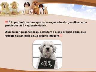!!! É importante lembrar que estas raças não são geneticamente
predispostas à «agressividade».

O único perigo genético que elas têm é o seu próprio dono, que
reflecte nos animais a sua própria imagem !!!
 