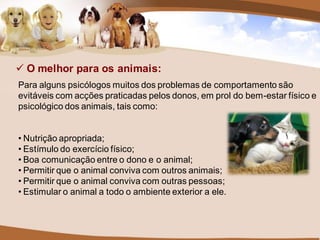  O melhor para os animais:
Para alguns psicólogos muitos dos problemas de comportamento são
evitáveis com acções praticadas pelos donos, em prol do bem-estar físico e
psicológico dos animais, tais como:


• Nutrição apropriada;
• Estímulo do exercício físico;
• Boa comunicação entre o dono e o animal;
• Permitir que o animal conviva com outros animais;
• Permitir que o animal conviva com outras pessoas;
• Estimular o animal a todo o ambiente exterior a ele.
 