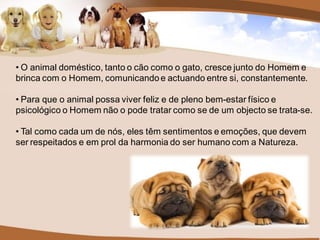 • O animal doméstico, tanto o cão como o gato, cresce junto do Homem e
brinca com o Homem, comunicando e actuando entre si, constantemente.

• Para que o animal possa viver feliz e de pleno bem-estar físico e
psicológico o Homem não o pode tratar como se de um objecto se trata-se.

• Tal como cada um de nós, eles têm sentimentos e emoções, que devem
ser respeitados e em prol da harmonia do ser humano com a Natureza.
 