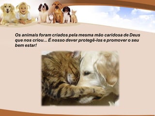 Os animais foram criados pela mesma mão caridosa de Deus
que nos criou... É nosso dever protegê-los e promover o seu
bem estar!
 