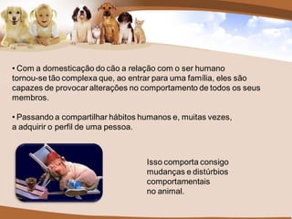 • Com a domesticação do cão a relação com o ser humano
tornou-se tão complexa que, ao entrar para uma família, eles são
capazes de provocar alterações no comportamento de todos os seus
membros.

• Passando a compartilhar hábitos humanos e, muitas vezes,
a adquirir o perfil de uma pessoa.



                                   Isso comporta consigo
                                   mudanças e distúrbios
                                   comportamentais
                                   no animal.
 