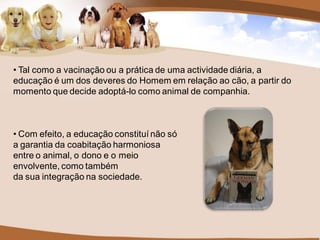 • Tal como a vacinação ou a prática de uma actividade diária, a
educação é um dos deveres do Homem em relação ao cão, a partir do
momento que decide adoptá-lo como animal de companhia.



• Com efeito, a educação constituí não só
a garantia da coabitação harmoniosa
entre o animal, o dono e o meio
envolvente, como também
da sua integração na sociedade.
 