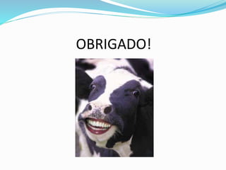 OBRIGADO!
 