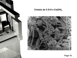 Cristais de C-S-H e Ca(OH)2
 

Page 10

 