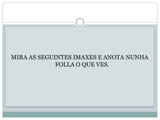 MIRA AS SEGUINTES IMAXES E ANOTA NUNHA
             FOLLA O QUE VES.
 
