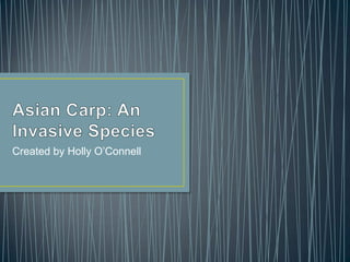 Asian Carp: An Invasive Species | PPTX