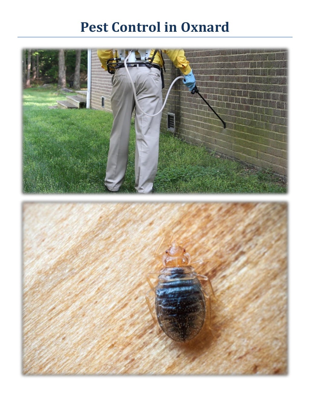 O'Connor Pest Control Company in Oxnard