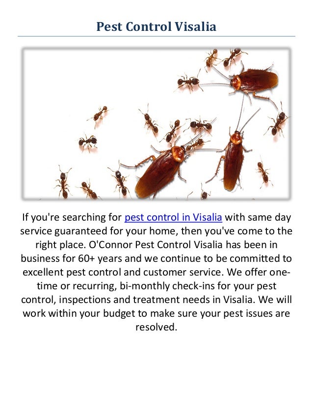 O'Connor Pest Control in Visalia, CA