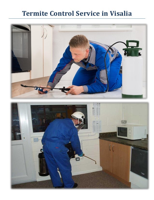 O'Connor Pest & Termite Control Service in Visalia, CA