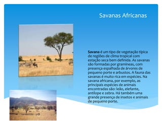 Savanas Africanas
Savana é um tipo de vegetação típica
de regiões de clima tropical com
estação seca bem definida. As savanas
são formadas por gramíneas, com
presença espalhada de árvores de
pequeno porte e arbustos. A fauna das
savanas é muito rica em espécies. Na
savana africana, por exemplo, as
principais espécies de animais
encontradas são: leão, elefante,
antílope e zebra. Há também uma
grande presença de insetos e animais
de pequeno porte.
 