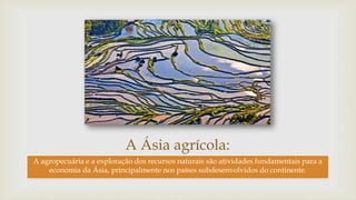 A Ásia agrícola:
A agropecuária e a exploração dos recursos naturais são atividades fundamentais para a
economia da Ásia, principalmente nos países subdesenvolvidos do continente.
 