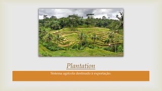 Plantation
Sistema agrícola destinado à exportação.
 