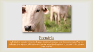 Pecuária
A Índia tem o maior rebanho de gado bovino do mundo sem fins comerciais. Para os
indianos que seguem o hinduísmo, a vaca é um animal sagrado e, portanto, não comem
carne bovina.
 