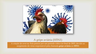 A gripe aviária (H5N1)
A criação de aves na Ásia passou por um período crítico no final de 2003, devido ao
surgimento do vírus responsável pela chamada gripe aviária ou H5N1
 