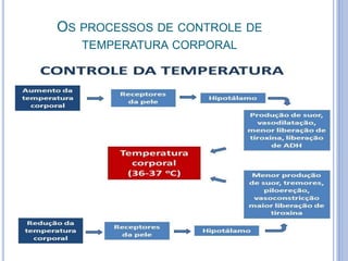 OS PROCESSOS DE CONTROLE DE 
TEMPERATURA CORPORAL 
 