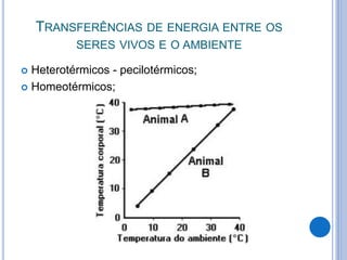 TRANSFERÊNCIAS DE ENERGIA ENTRE OS 
SERES VIVOS E O AMBIENTE 
 Heterotérmicos - pecilotérmicos; 
 Homeotérmicos; 
. 
 