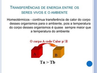 TRANSFERÊNCIAS DE ENERGIA ENTRE OS 
SERES VIVOS E O AMBIENTE 
Homeotérmicos - contínua transferência de calor do corpo 
desses organismos para o ambiente, pois a temperatura 
do corpo desses organismos é quase sempre maior que 
a temperatura do ambiente 
 