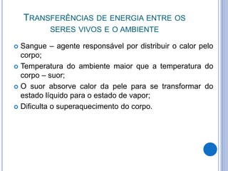 TRANSFERÊNCIAS DE ENERGIA ENTRE OS 
SERES VIVOS E O AMBIENTE 
 Sangue – agente responsável por distribuir o calor pelo 
corpo; 
 Temperatura do ambiente maior que a temperatura do 
corpo – suor; 
 O suor absorve calor da pele para se transformar do 
estado líquido para o estado de vapor; 
 Dificulta o superaquecimento do corpo. 
 
