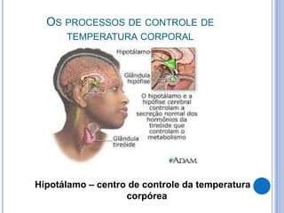 OS PROCESSOS DE CONTROLE DE 
TEMPERATURA CORPORAL 
Hipotálamo – centro de controle da temperatura 
corpórea 
 