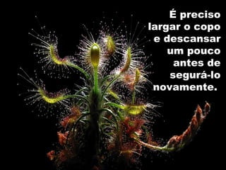 É preciso
largar o copo
e descansar
um pouco
antes de
segurá-lo
novamente.