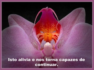 Isto alivia e nos torna capazes de
continuar.