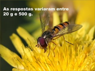 As respostas variaram entre
20 g e 500 g.