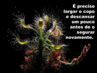 É preciso largar o copo e descansar um pouco antes de o segurar novamente.  