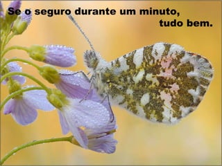 Se o seguro durante um minuto,  tudo bem.  