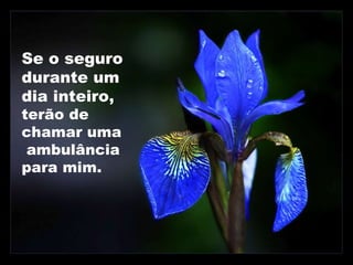 Se o seguro durante um dia inteiro,  terão de chamar uma  ambulância para mim. 