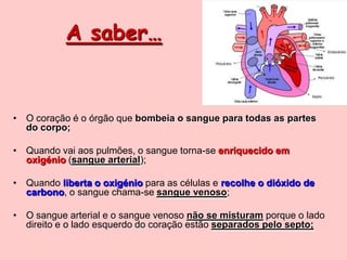  CoraçãoMorfologia Interna do Coração