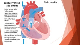 Ciclo cardíaco
Entra sangue pelas
veias cavas:
Veia cava superior
Veia cava inferior
Para a Aurícula
Direita
Abre a válvula
tricúspide e fecha
rapidamente para o sangue
não voltar para trás
e entra o sangue no
ventrículo direito
O sangue sai pela
Artéria pulmonar para
os pulmões
Sangue venoso
lado direito
Abre a válvula semilunar
 