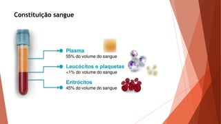 Constituição sangue
 