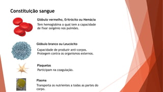 Constituição sangue
Glóbulo vermelho, Eritrócito ou Hemácia
Tem hemoglobina a qual tem a capacidade
de fixar oxigénio nos pulmões.
Glóbulo branco ou Leucócito
Capacidade de produzir anti-corpos.
Protegem contra os organismos externos.
Plaquetas
Participam na coagulação.
Plasma
Transporta os nutrientes a todas as partes do
corpo.
 