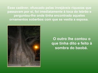 O outro lhe contou o que tinha dito e feito à sombra do baobá.   Esse cadáver, ofuscado pelas invejáveis riquezas que passavam por si, foi imediatamente à toca do lebrão e perguntou-lhe onde tinha encontrado aqueles ornamentos soberbos com que se vestia a esposa.  