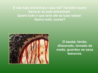 E nas tuas entranhas o que há? Também quero devorar as tuas entranhas!  Quero tudo o que tens até as tuas raízes!  Quero tudo, ouves? O baobá, ferido, dilacerado, tomado de medo, guardou os seus tesouros. 