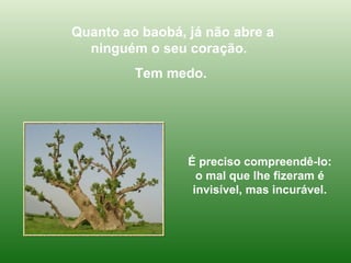 Quanto ao baobá, já não abre a ninguém o seu coração.  Tem medo.  É preciso compreendê-lo: o mal que lhe fizeram é invisível, mas incurável. 