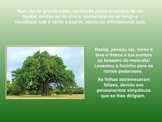 Num dia de grande calor, um lebrão parou à sombra de um baobá, sentou-se na erva e, contemplando ao longe a restolhada sob o vento a soprar, sentiu-se infinitamente bem. Baobá, pensou ele, como é leve e fresca a tua sombra ao braseiro do meio-dia! Levantou o focinho para os ramos poderosos.  As folhas estremeceram felizes, devido aos pensamentos simpáticos que se lhes dirigiam.  