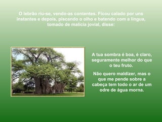 O lebrão riu-se, vendo-as contentes. Ficou calado por uns instantes e depois, piscando o olho e batendo com a língua, tomado de malícia jovial, disse: A tua sombra é boa, é claro, seguramente melhor do que o teu fruto.  Não quero maldizer, mas o que me pende sobre a cabeça tem todo o ar de um odre de água morna. 