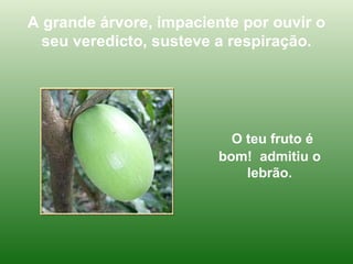 A grande árvore, impaciente por ouvir o seu veredicto, susteve a respiração. O teu fruto é bom!  admitiu o lebrão. 