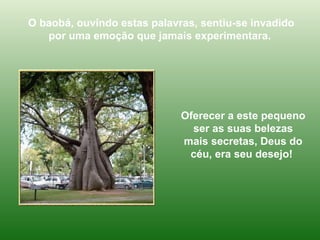 O baobá, ouvindo estas palavras, sentiu-se invadido por uma emoção que jamais experimentara.  Oferecer a este pequeno ser as suas belezas mais secretas, Deus do céu, era seu desejo!  