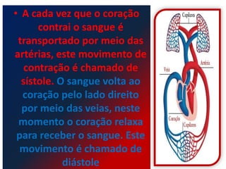 • A cada vez que o coração
      contrai o sangue é
 transportado por meio das
artérias, este movimento de
   contração é chamado de
  sístole. O sangue volta ao
  coração pelo lado direito
  por meio das veias, neste
 momento o coração relaxa
 para receber o sangue. Este
  movimento é chamado de
            diástole
 