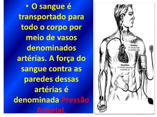 • O sangue é
 transportado para
  todo o corpo por
   meio de vasos
    denominados
 artérias. A força do
  sangue contra as
   paredes dessas
      artérias é
denominada Pressão
       Arterial.
 
