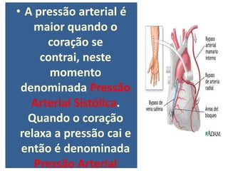 • A pressão arterial é
    maior quando o
      coração se
     contrai, neste
       momento
 denominada Pressão
   Arterial Sistólica.
   Quando o coração
 relaxa a pressão cai e
 então é denominada
    Pressão Arterial
 